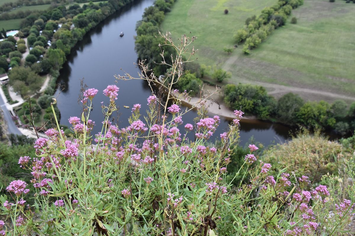 Une boucle de la Dordogne vue du château de Beynac